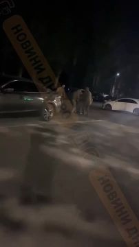 #бандеровская_оккупация: в Днепропетровске людоловы из ТЦК избили мужчину, который отказался добровольно бусифицироваться