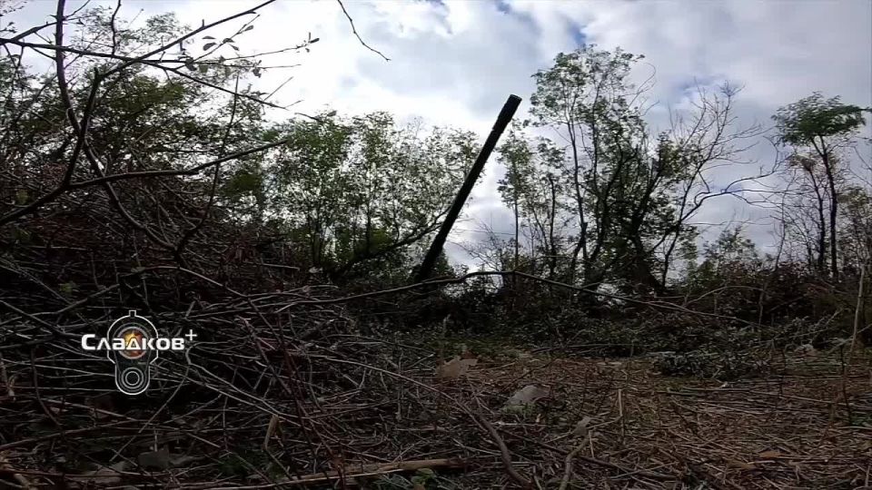 ��������� �������: � ���� ������������ ���������� � ���� ���������� ����������� ������� ��������