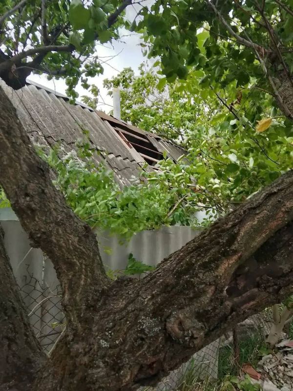 В результате агрессии киевского режима за последние сутки в Херсонской области пострадал один мирный житель: