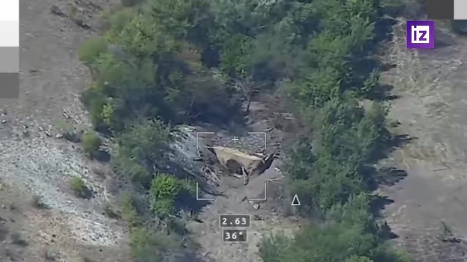 Расчет БПЛА 49 общевойсковой армии вскрыл и уничтожил гаубицу М777 на правом берегу Днепра в Херсонской области, сообщили в Минобороны РФ