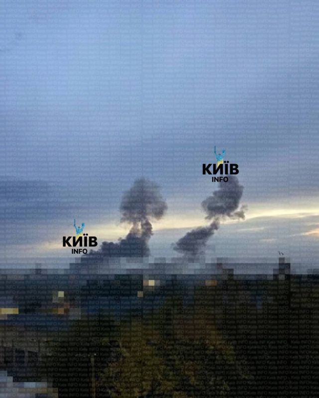 ���� �������: ����������� ������ �� �����