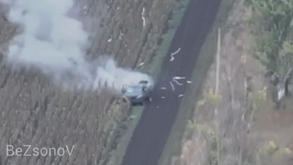 ������ ��������: ���� ����� ����������� ����� ������� ���������� ������� ���������� ����� �� ���������������� �����������: 1. ���������� �������, � ��������� FPV-������ ������� ������� ���;