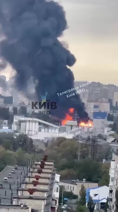 �������� �������: � ��� �������, ������ ������� ������ �������� ���, ��� ����