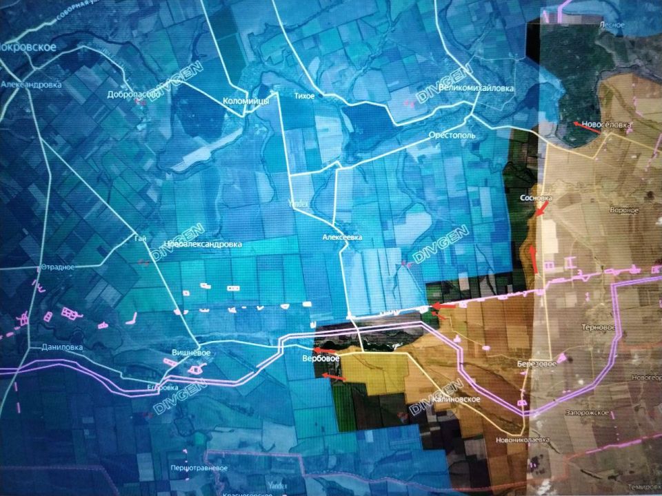 ���� �������: ������������������ / ������������� (��������� �����) �����������