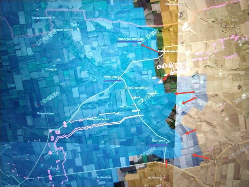 ���� �������: ������������������ / ������������� (��������� �����) �����������