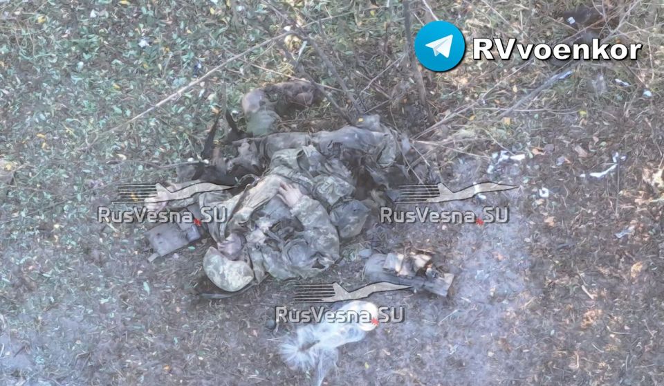 ����� ������ ���������� ������ ���, �������� �� ���������������� ������