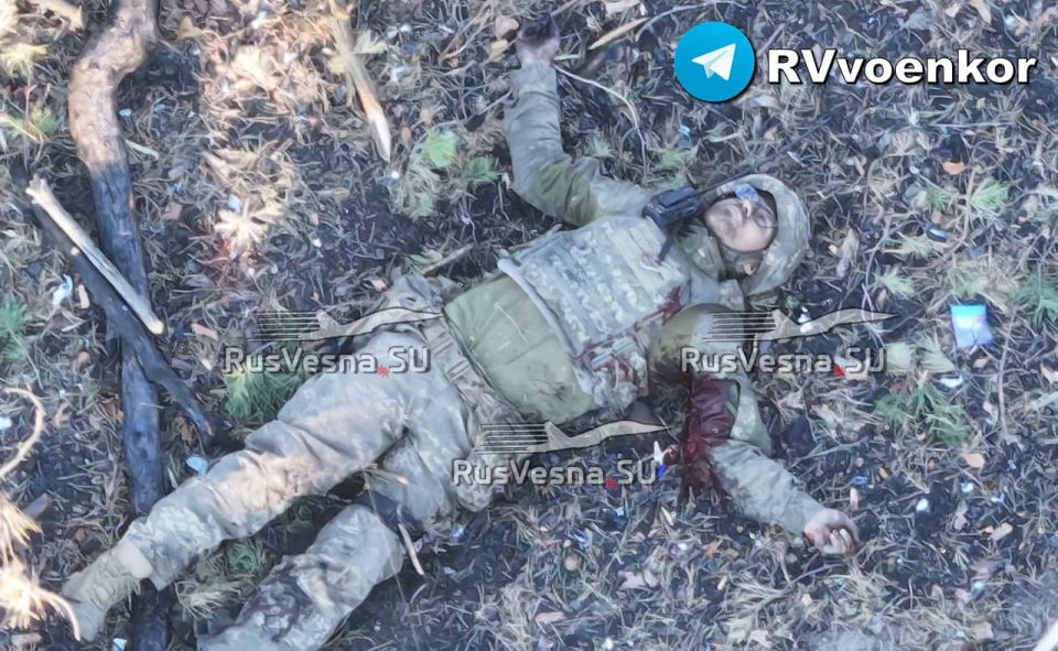 ����� ������ ���������� ������ ���, �������� �� ���������������� ������