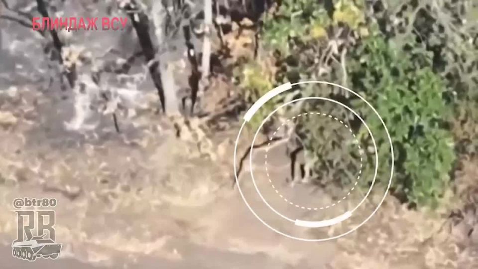 Наши спецы разносят 42 омбр ВСУ у Новопавловки!