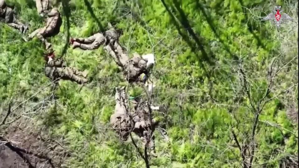 ���������� ������: ���������� ����������� ������� ����������� ��������������� ��� �� ����������� ����� ������ ������