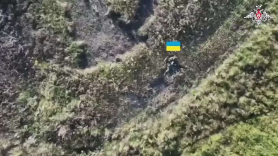 ���������� ������: ��������� ������������� 36-� ����������� ������������� ����� ����������� ����� ������� ������� ����� ���������� ��������� ��� ���������� ������� �������� � ���������������� �������