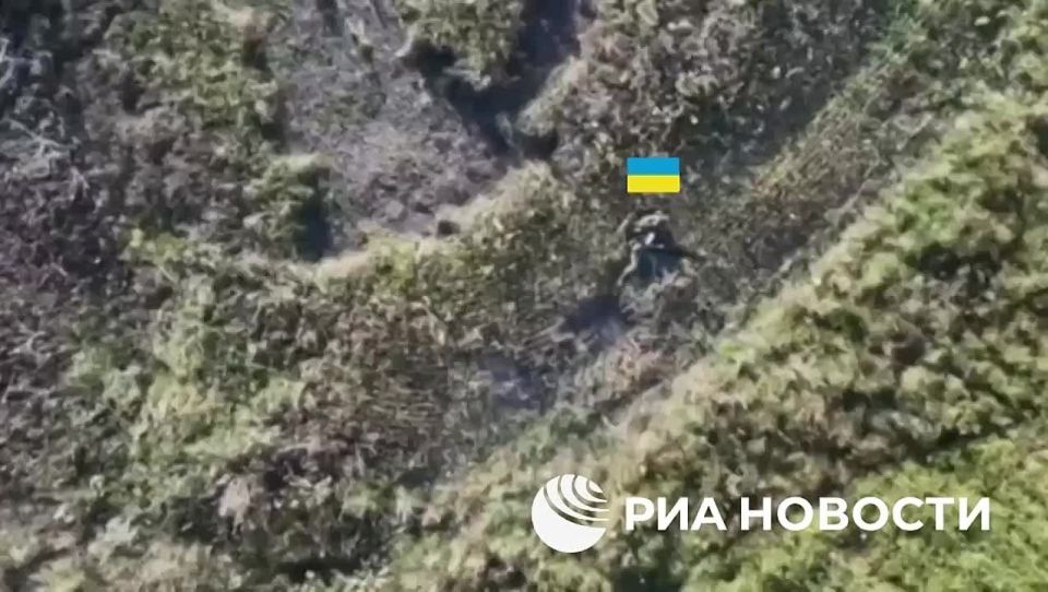 � ���� ���� �� �������� � ���������������� ������� ��� �������� ���������� ����� ������� ����� 10 ���������� ���������� ����������, �������� � ���������� ��