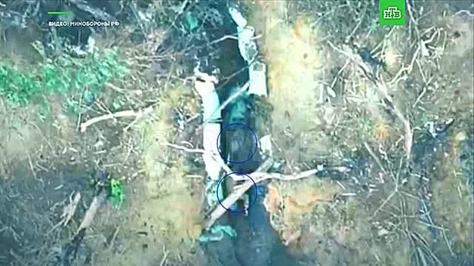 ���������� �������� ����������� ������������ ���