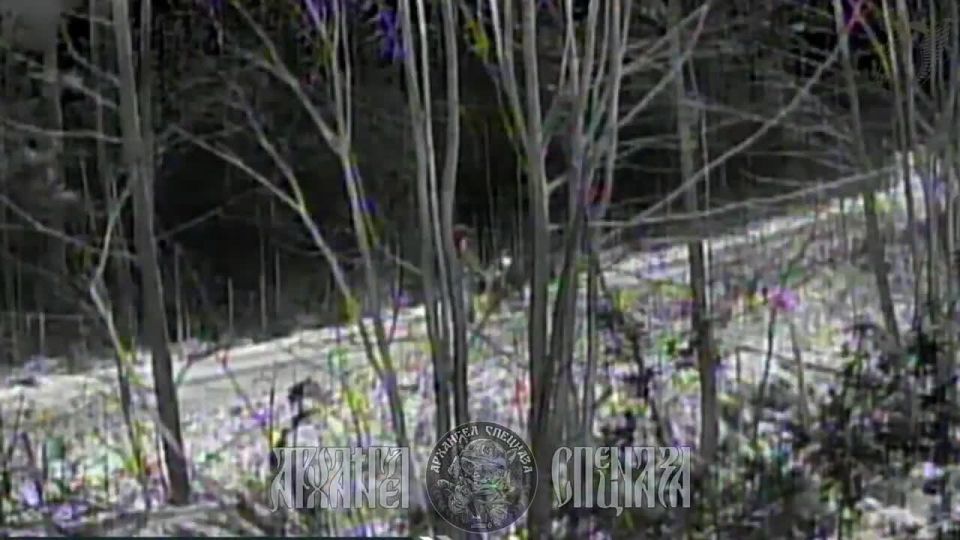 Доброе утро!. Работа спецподразделений в действии «Ходячие кусты» снова на охоте: засада, подрыв мины, разнесённая техника ВСУ вместе с экипажем и полный контроль обстановки