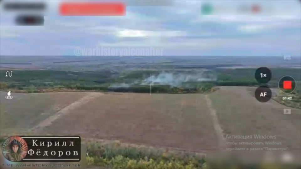 БОДРЯЩЕЕ КАБРИРОВАНИЕ!. #эксклюзив БОДРЯЩЕЕ КАБРИРОВАНИЕ!. #эксклюзив