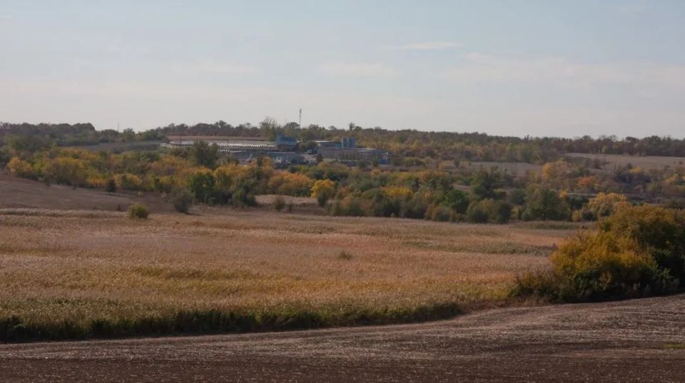 Этим летом в Днепропетровской области начали пересыхать пруды Этим летом в Днепропетровской области начали пересыхать пруды
