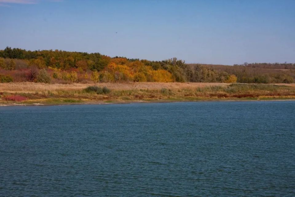 Этим летом в Днепропетровской области начали пересыхать пруды Этим летом в Днепропетровской области начали пересыхать пруды
