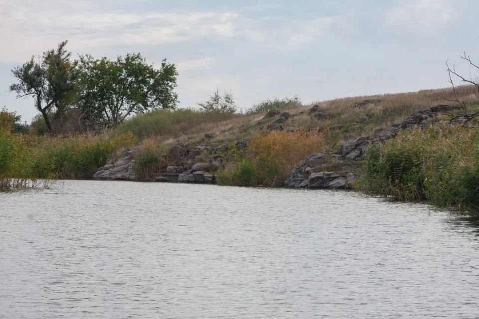 Этим летом в Днепропетровской области начали пересыхать пруды Этим летом в Днепропетровской области начали пересыхать пруды