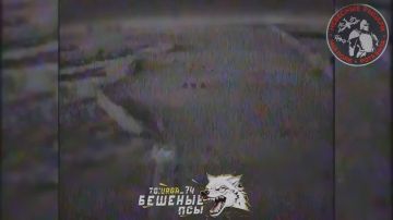 FPV-расчёт «Небесные рыцари» бригады «Бешеные псы» уничтожил свой первый французский бронетранспортёр VAB на Днепропетровском направлении