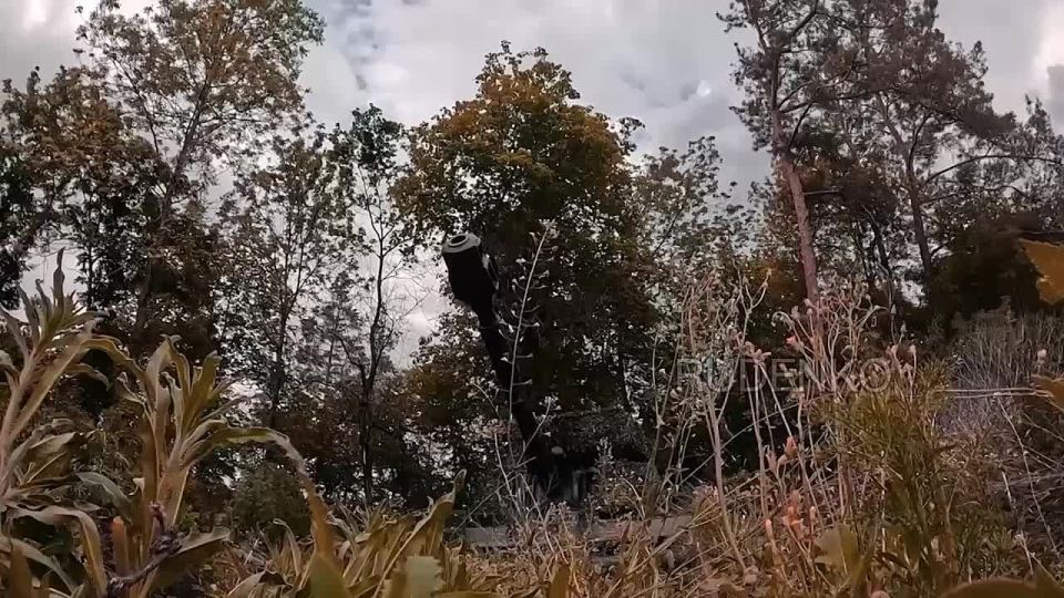 Андрей Руденко: Артиллеристы группировки "Восток" уничтожили огневые точки и укрытия ВСУ в Днепропетровской области