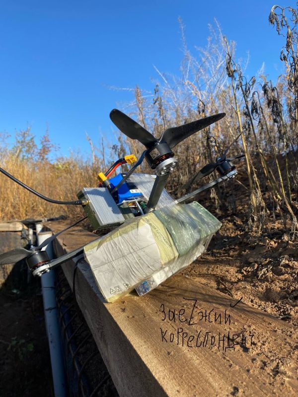 �������� ������: �� ���������������� ������� ������? � �����