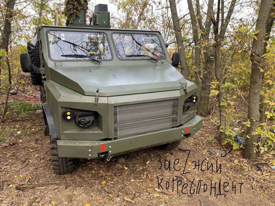 �������� ������: �� ���������������� ������� ������? � �����