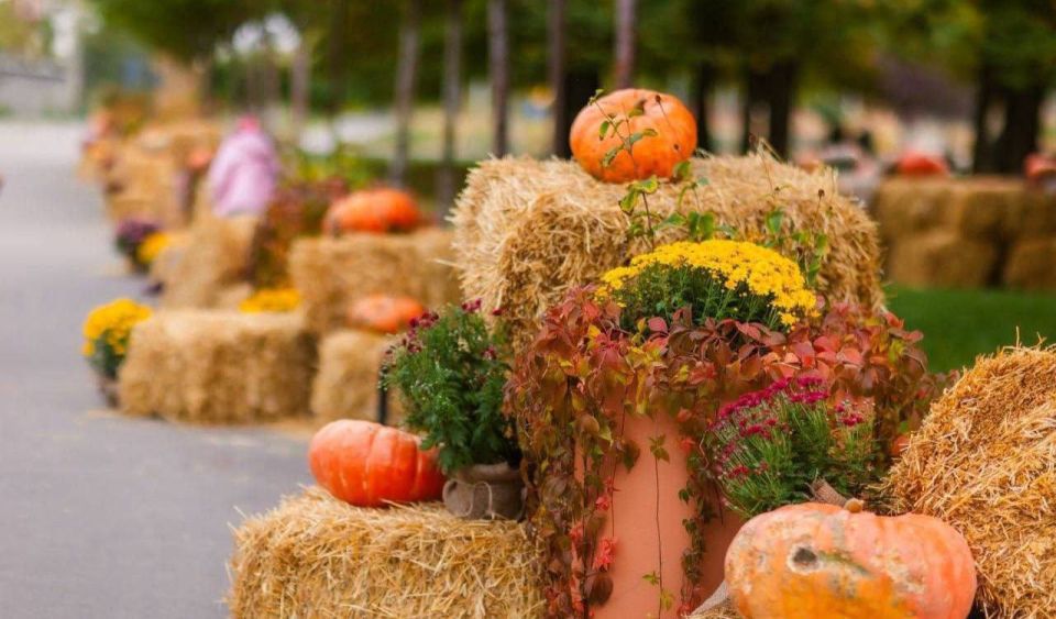 � ��������������� �� ����� ����� ����������� ������� ��������