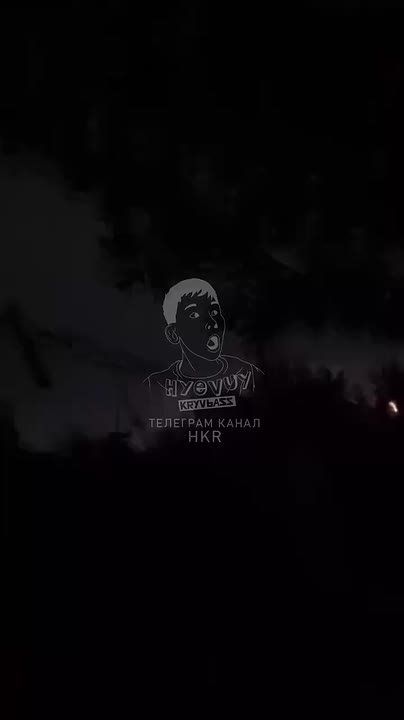 Владислав Шурыгин: Стая из 30+ Гераней обрушилась на подстанцию 330кВ в нп Радушное чуть южнее Кривого Рога