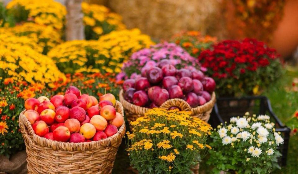 � ��������������� �� ����� ����� ����������� ������� ��������