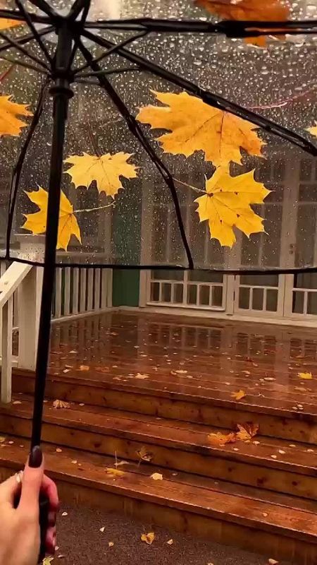    ,             ,  ,       ,     ...    :