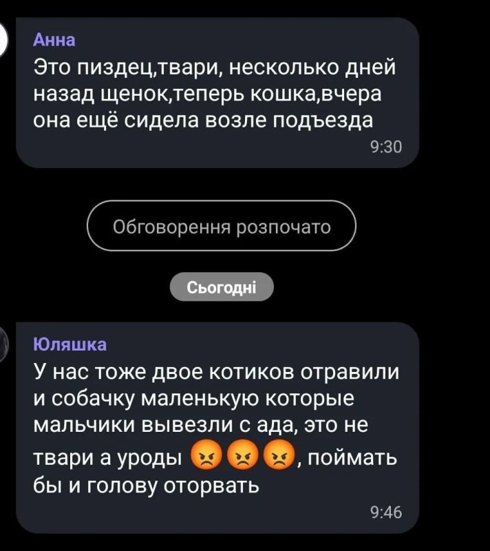 Ситуация с массовым отравлением кошек и собак получает огласку в поселке Шахтерском Днепропетровской области Ситуация с массовым отравлением кошек и собак получает огласку в поселке Шахтерском Днепропетровской области