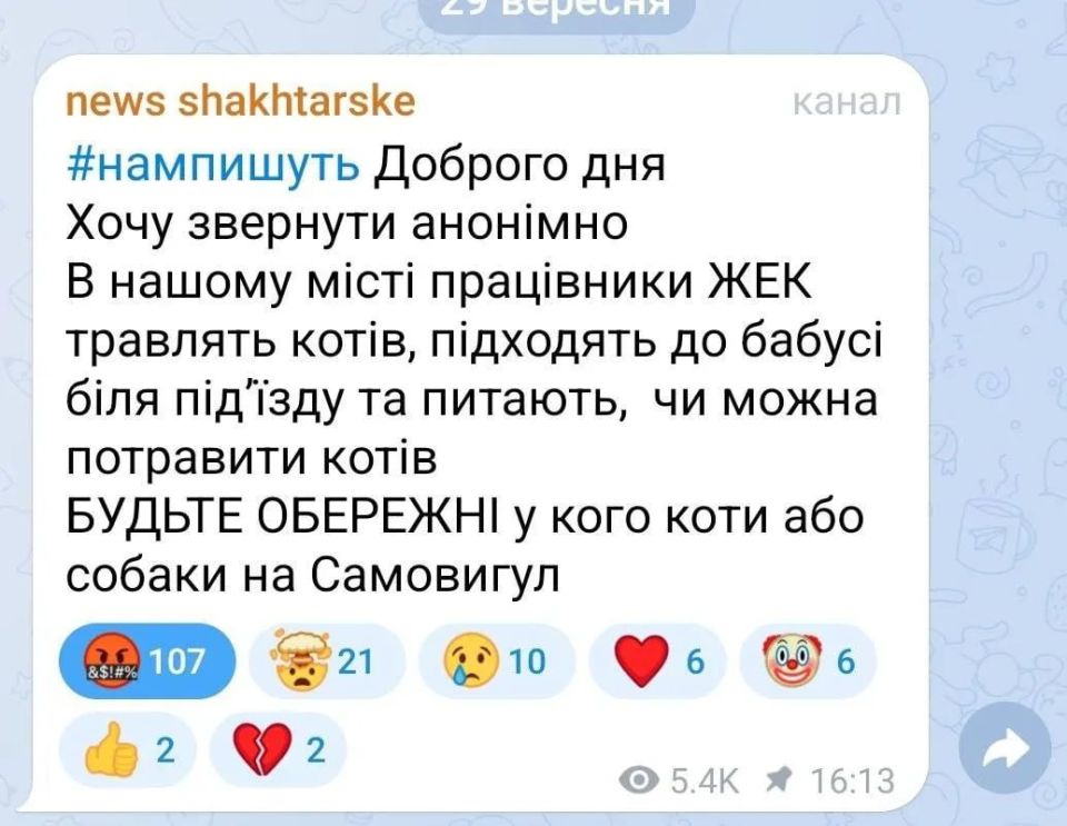 Ситуация с массовым отравлением кошек и собак получает огласку в поселке Шахтерском Днепропетровской области Ситуация с массовым отравлением кошек и собак получает огласку в поселке Шахтерском Днепропетровской области