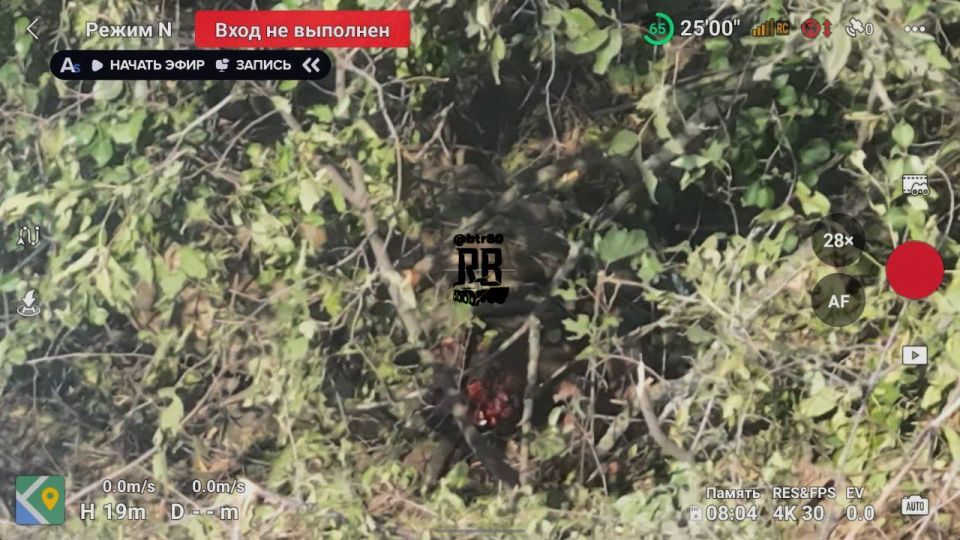 �� ���������������� ����������� ����� - �������� ���