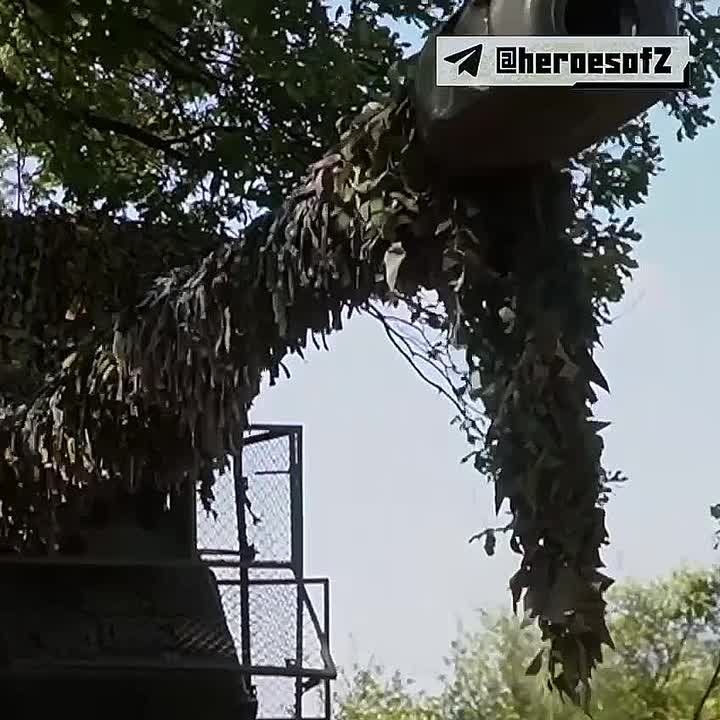     -ѻ      