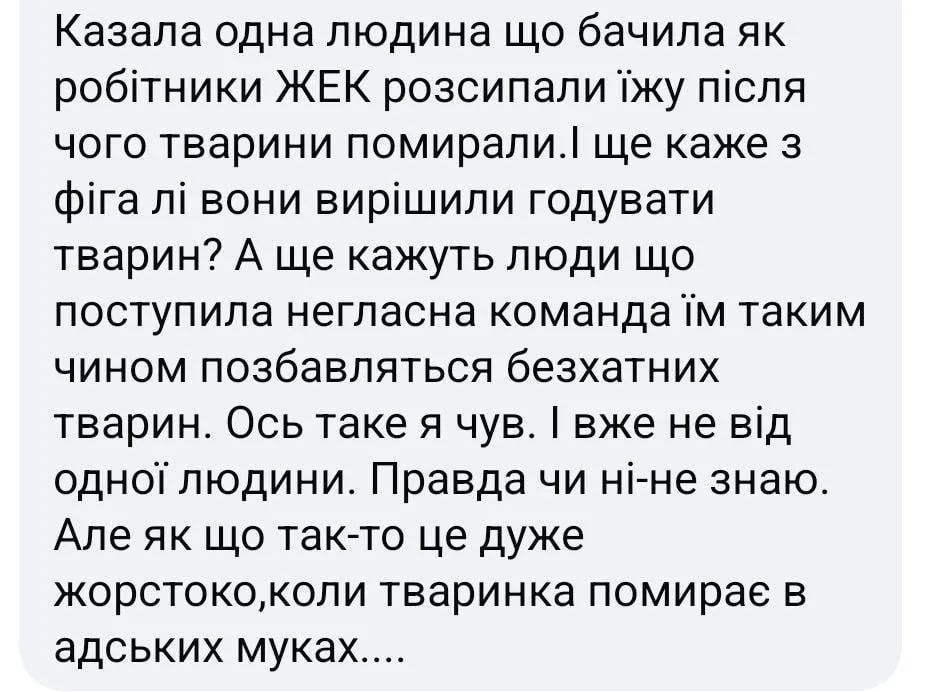 Ситуация с массовым отравлением кошек и собак получает огласку в поселке Шахтерском Днепропетровской области Ситуация с массовым отравлением кошек и собак получает огласку в поселке Шахтерском Днепропетровской области