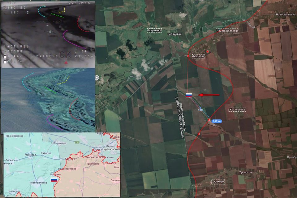 1. ���������� - ����������