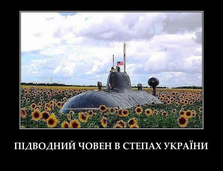  -   ,         ,         :