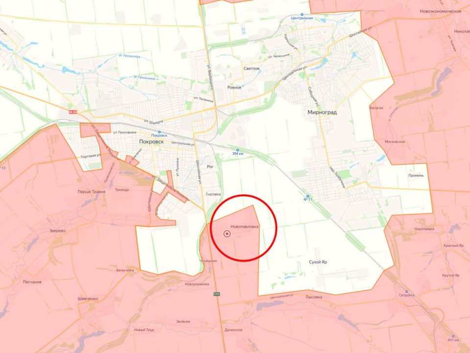 Минобороны России заявило об освобождении населённых пунктов Алексеевка в Днепропетровской области и Новопавловка в ДНР на Покровском направлении Минобороны России заявило об освобождении населённых пунктов Алексеевка в Днепропетровской области и Новопавловка в ДНР на Покровском направлении