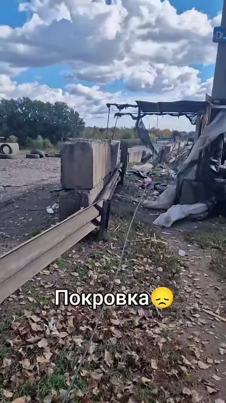    ( )    