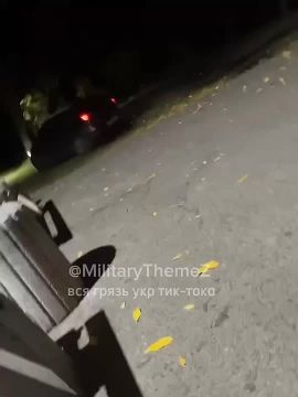 Снова Днепр и ночное сафари за опасным ухилянтом