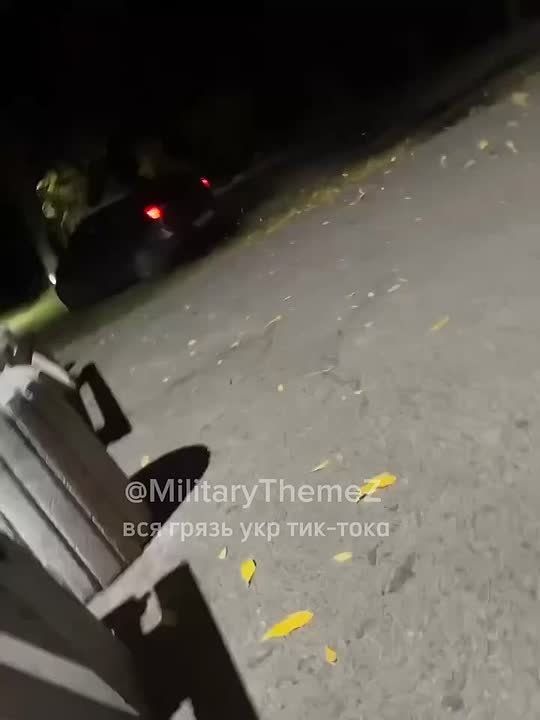 Снова Днепр и ночное сафари за опасным ухилянтом