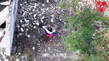 Кадры освобождения села Новопавловка (ДНР) штурмовиками мотострелкового полка «Сибирский витязь» бригады «Черные барсы»