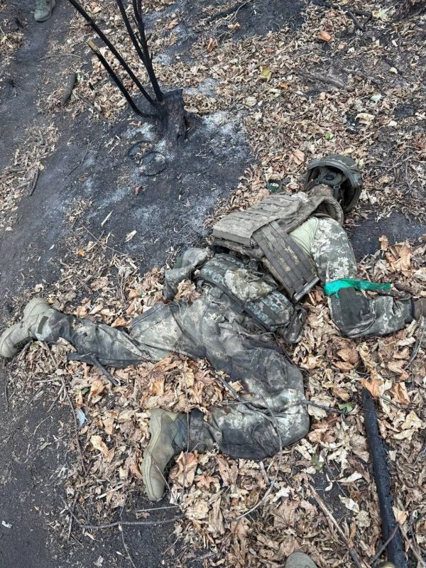 Днепропетровская область. Эти Мыколы свое отскакали и более не нужны Днепропетровская область. Эти Мыколы свое отскакали и более не нужны