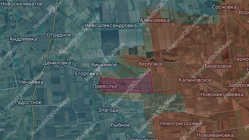 Наши воины освободили н.п. Приволье в Днепропетровской области