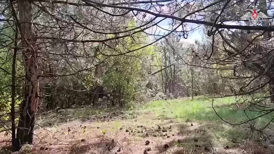 Евгений Лисицын: Группировка войск «Центр» продолжают работать по целям противника