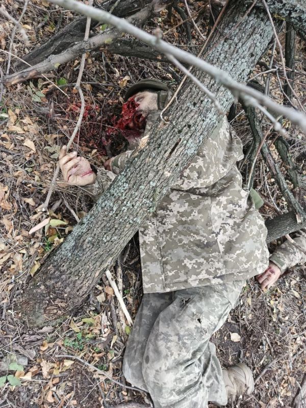 Уничтоженные боевики украинских формирований в Днепропетровской области Уничтоженные боевики украинских формирований в Днепропетровской области