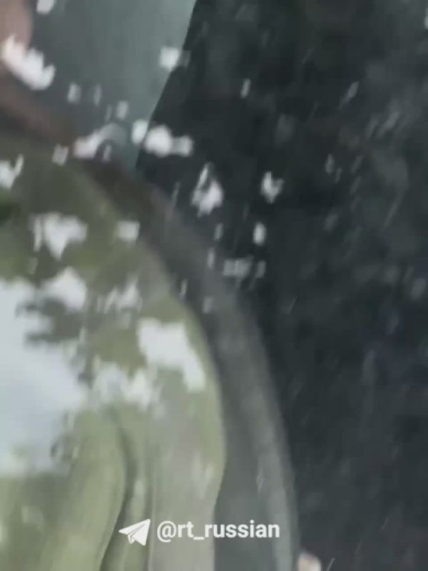 «C****тесь отсюда, чтоб я вас тут не видел, б***ь. Ствол спрячь!»