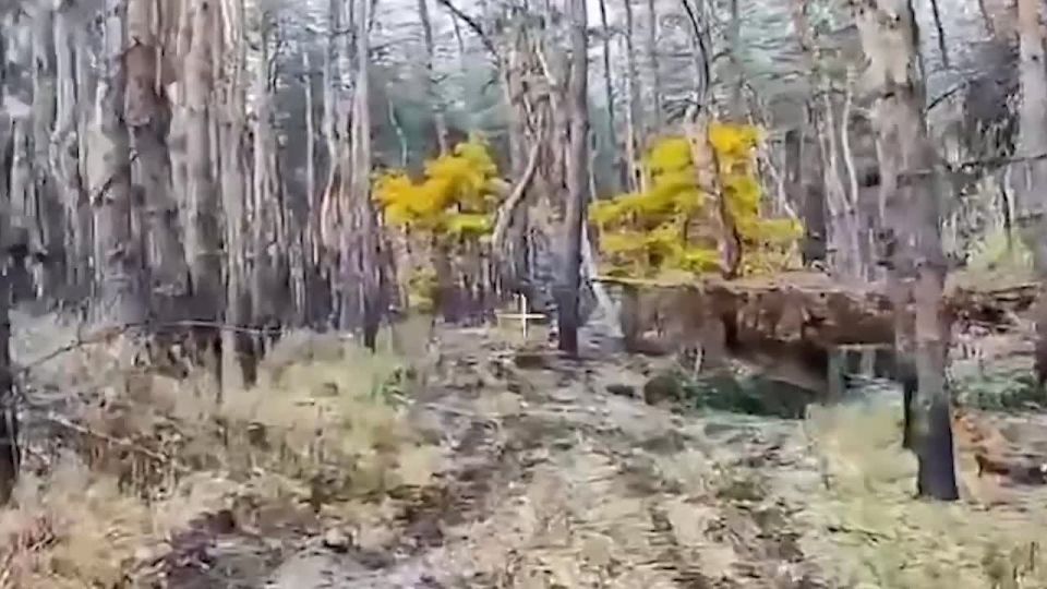 ���������� ������: ���� ��������� �� ��������� ���������� ������