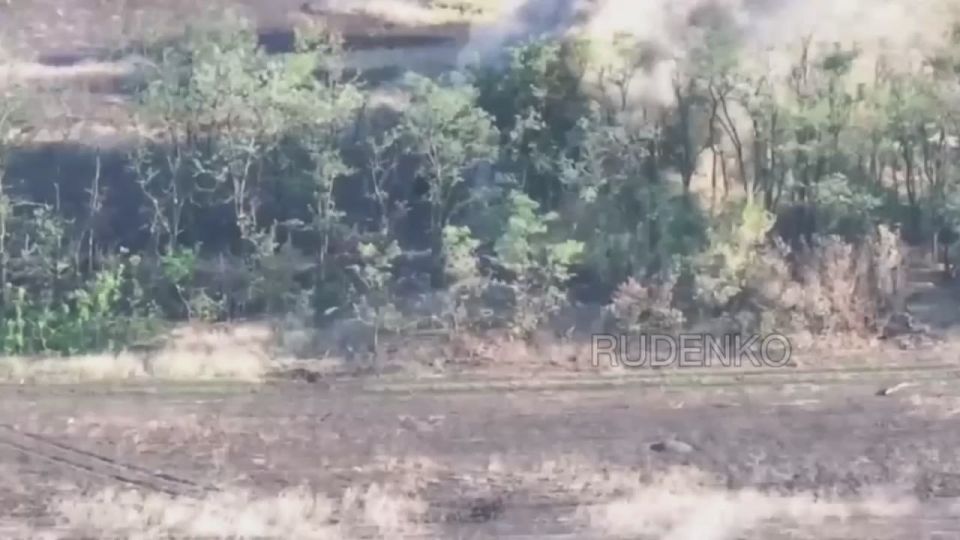 Андрей Руденко: Артиллерийские расчёты группировки войск «Восток» нанесли огневое поражение по укреплённым позициям ВСУ в районе населённого пункта Гавриловка Днепропетровской области