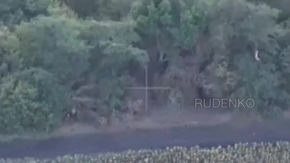 Андрей Руденко: Военнослужащие группировки войск «Восток» уничтожили артиллерийскую гаубицу ВСУ в Днепропетровской области