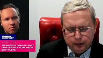 Трамп не врёт? «Усмирение Украины обеспечивается за две недели» – депутат Думы